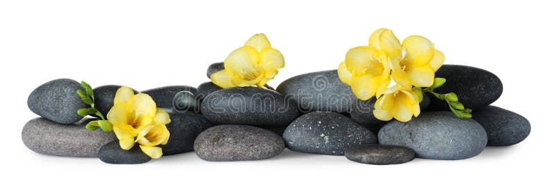Pila de piedras del balneario y de flores de la fresia en blanco imagen de archivo Pila de piedras del balneario y de flores de la fresia en blanco imagen de archivo