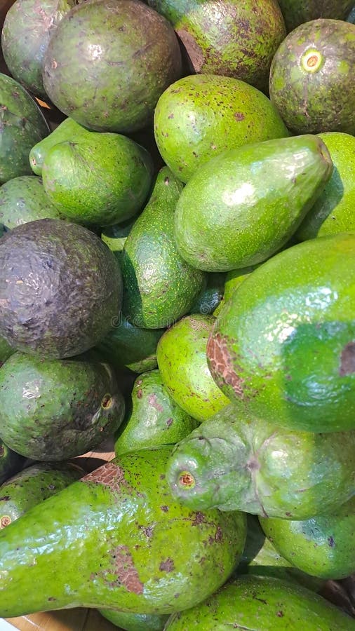 Pila di avocado verde fotografia stock libera da diritti