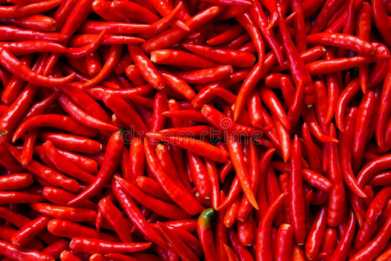 Pila fresca roja de los chiles sin el cáliz y el vástago foto de archivo