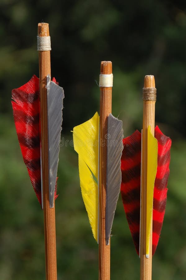 Color wooden arrows ready to shut with green background. Color wooden arrows ready to shut with green background