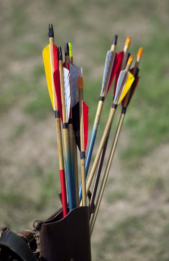 Arrow fletchings in different variation. Arrow fletchings in different variation