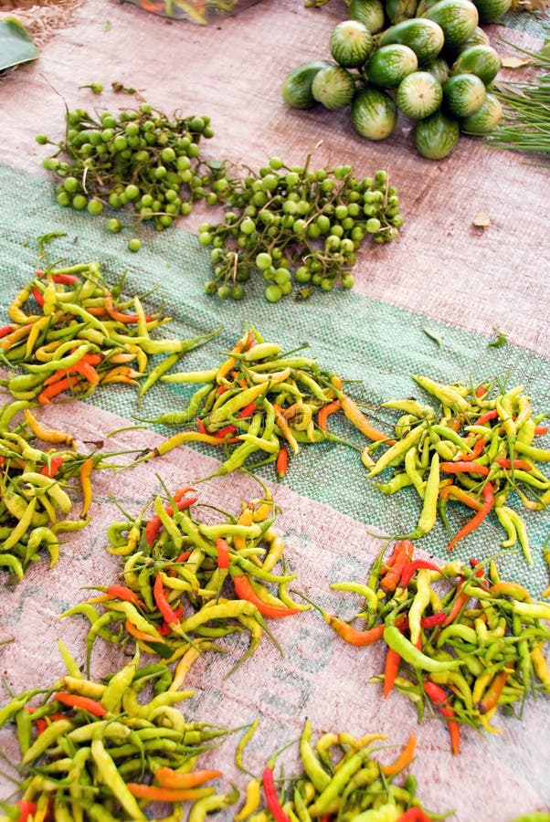 Pilas de chilis en venta foto de archivo libre de regalías Pilas de chilis en venta foto de archivo libre de regalías