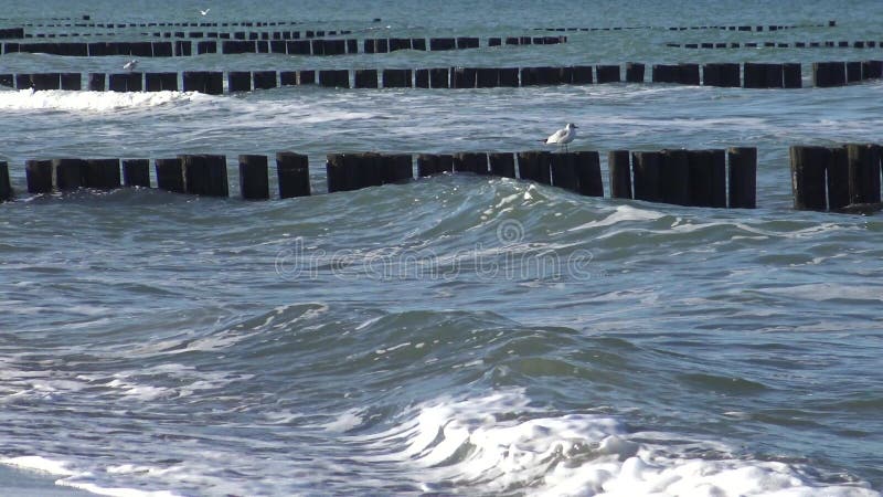 Pilas de las ondas, del viento y de madera