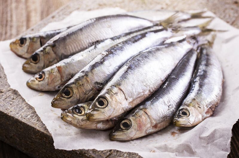 Pilchard on a dish stock image. Image of fish, meal, dish 18952327