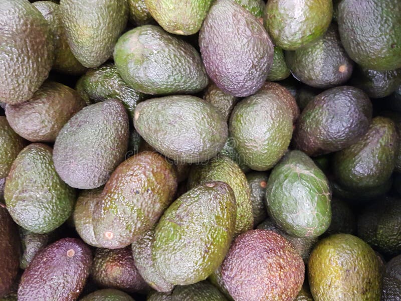 Pile of avocados stock photo. Image of avocados, white - 94825776