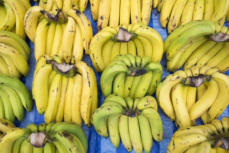 Pile of banana in fresh market. Background and texture of banana stock photography
