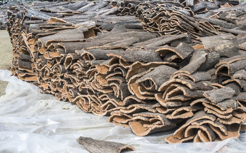 Pile of bark from cork stock image. Image of pile, portugal 137991393