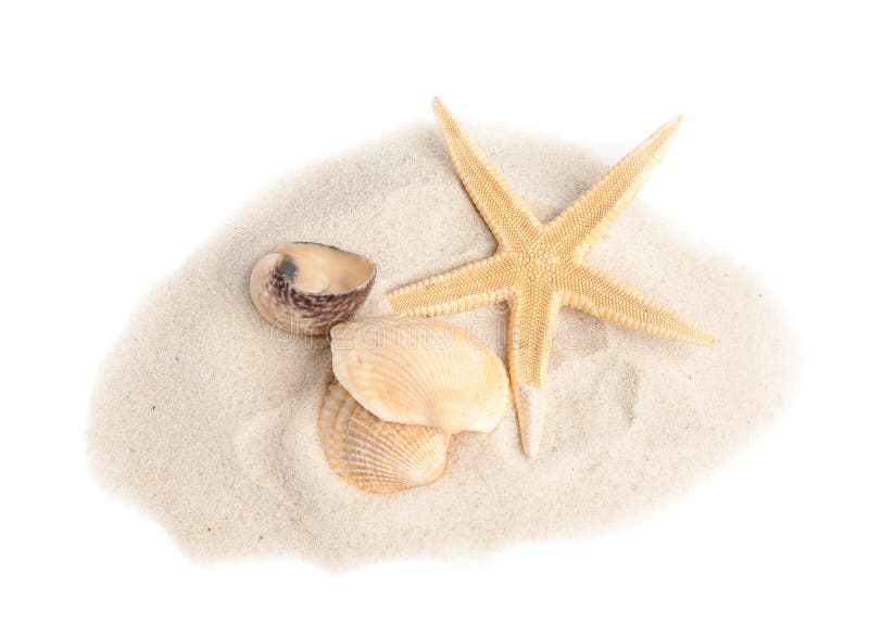 Pile of Beach Sand with Beautiful Starfish and Sea on White Background ...