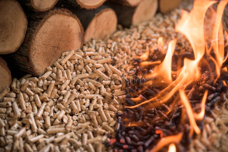 Burning Pellets and Pile of Wood Stock Image Image of energy, ecology