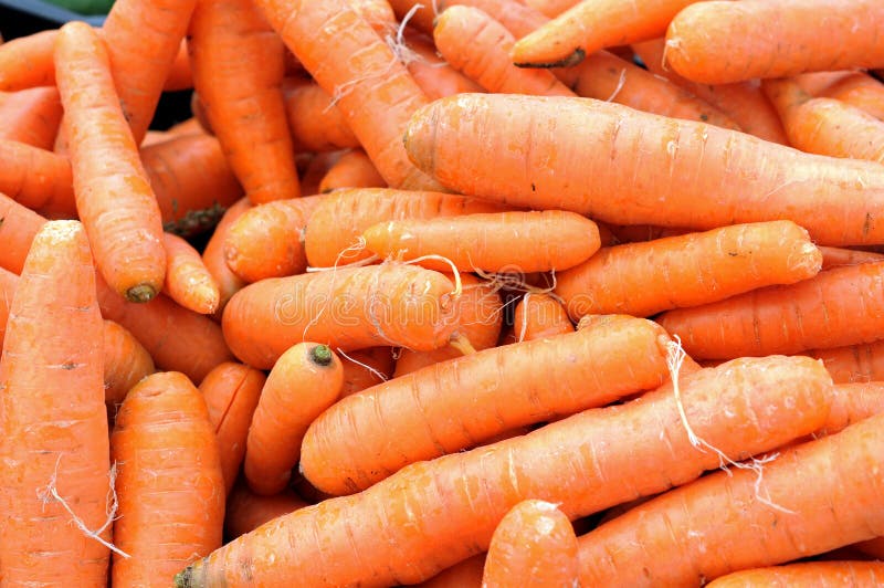 A pile of carrot stock photo. Image of healthy, vegetarian 28096162