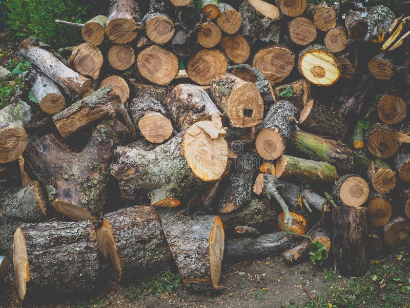 Pile of Chopped Logs in a Stack Stock Image Image of wood, stacked
