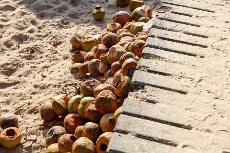 A pile of coconut shells on the beach stock photography