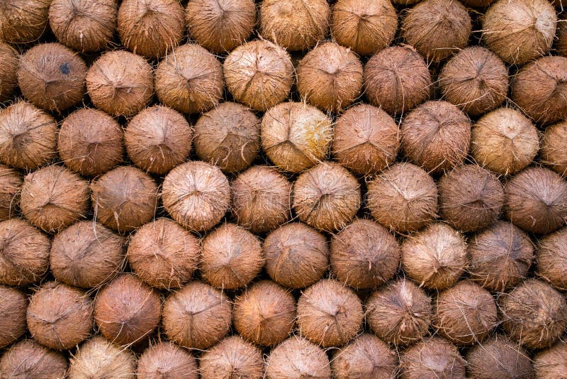Pile of coconuts background