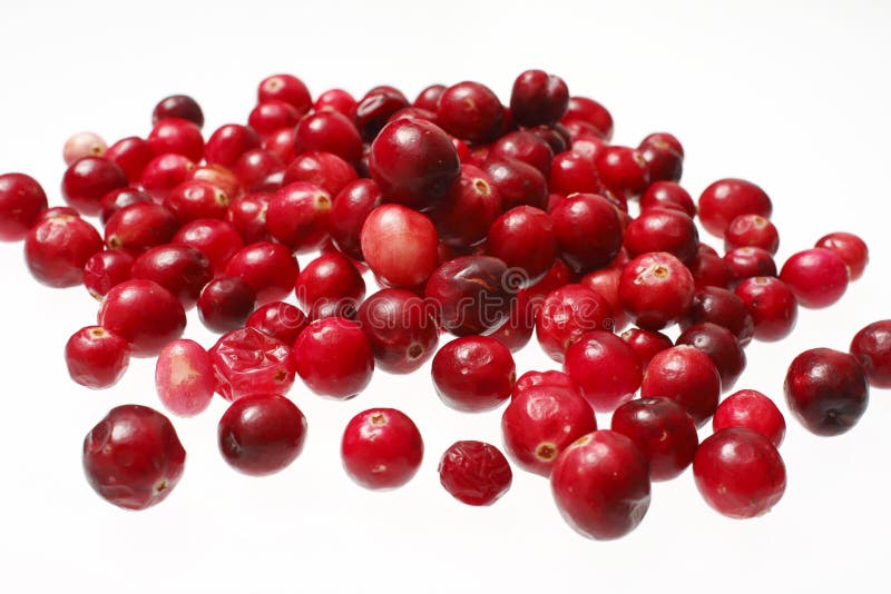 Pile of cranberries stock image. Image of organic, food 12176781