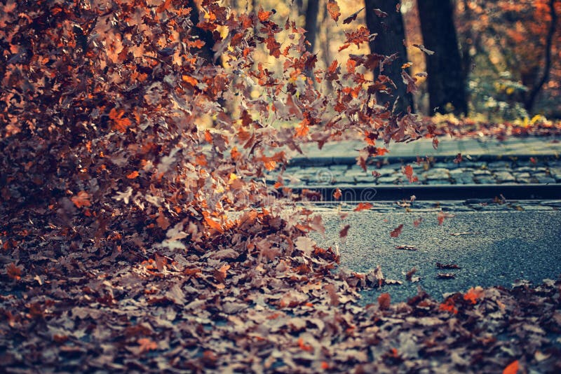 Pile de fort vent de feuilles photographie stock Pile de fort vent de feuilles photographie stock