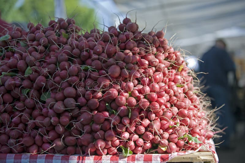 Pile de Mkt de fermiers des radis photo libre de droits