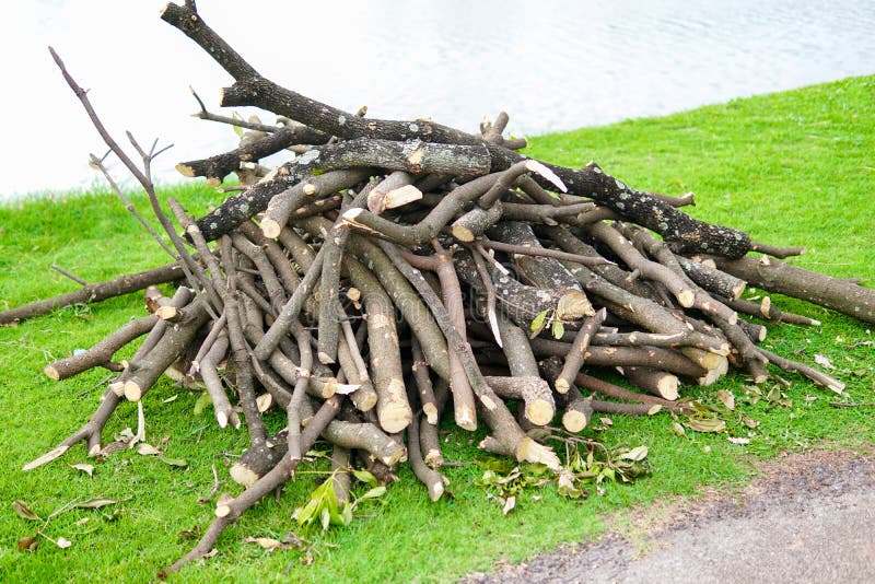 Pile des branches d'arbre sciées en bois et de coupe Troncs d'arbre en coupe de bouleau Fond de bois de construction Pile de rond photo libre de droits Pile des branches d'arbre sciées en bois et de coupe Troncs d'arbre en coupe de bouleau Fond de bois de construction Pile de rond photo libre de droits