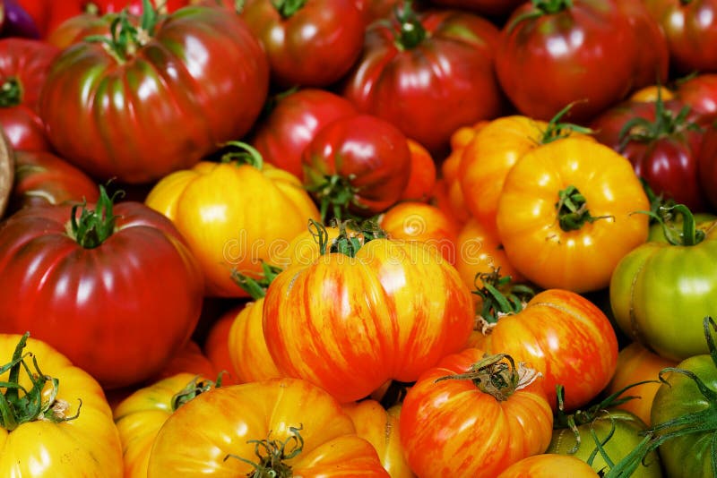 Pile des tomates d'héritage