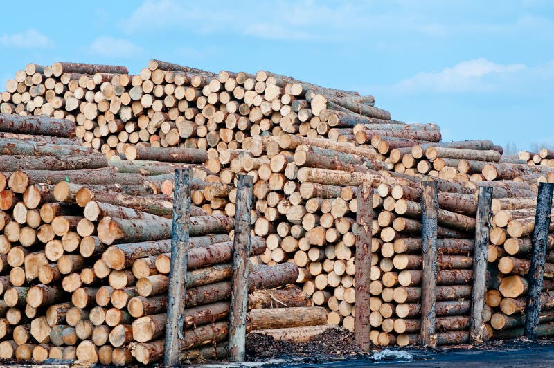 FACAL SCALA PITTORE IN LEGNO 6 GRADINI H.CM168,5 - Foto 8