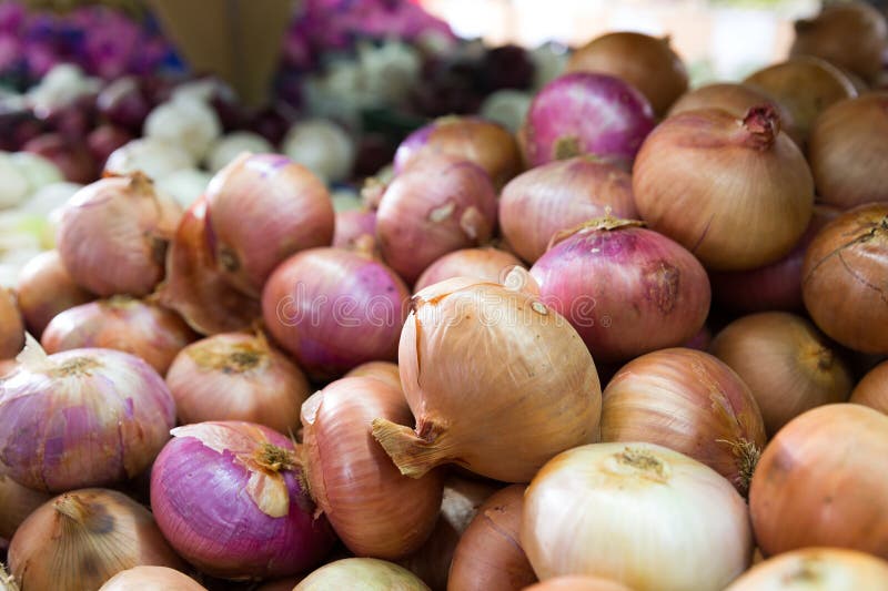 Different onion varieties stock image. Image of group 277375969