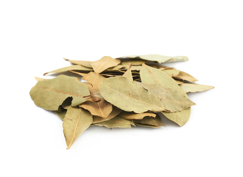 Pile of Dried Bay Leaves Isolated Stock Image Image of laurel