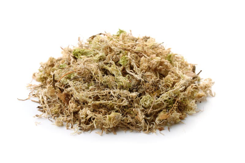 Pile of dry sphagnum moss