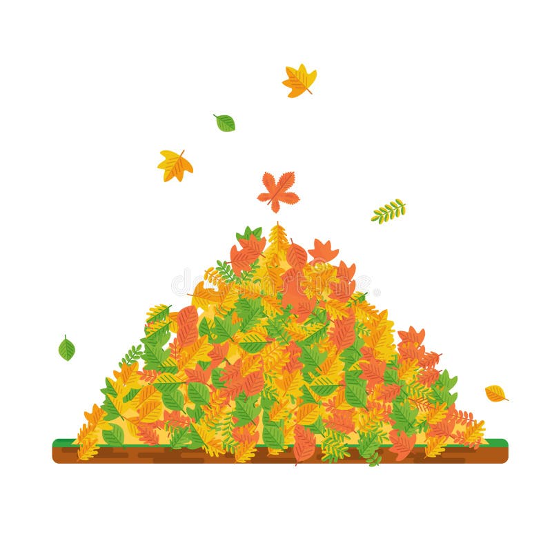 Pile of fallen leaves. 