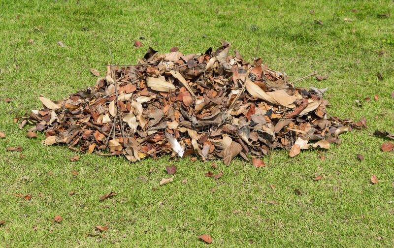 Pile Of Fallen Leaves In A Yard Stock Image - Image of brown, woods