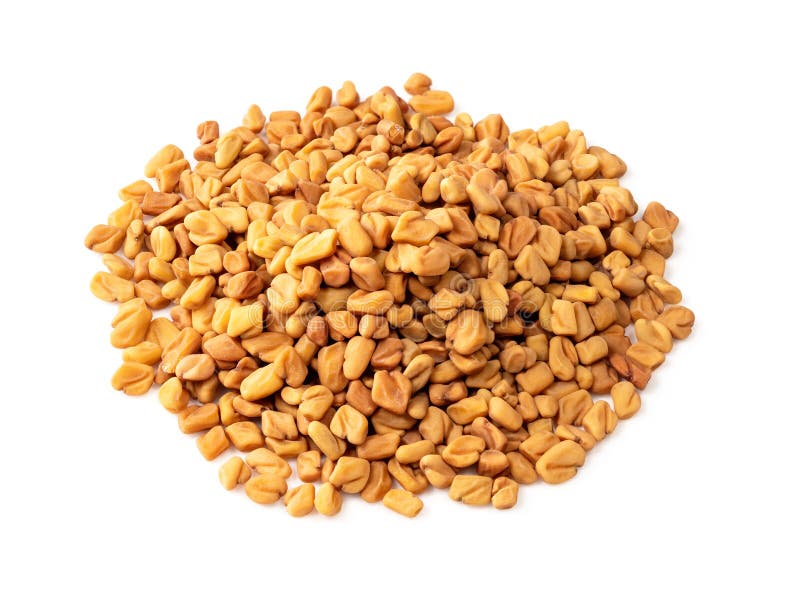 Closeup of Fenugreek Seeds Placed in Glass Bowl Isolated on Gray White