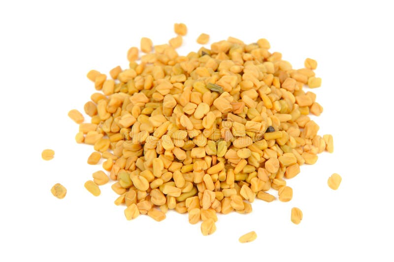 Pile of Fenugreek Seeds on the Floor. Macro Photography. Stock Photo