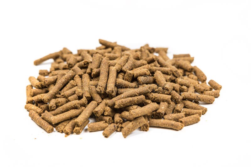 Pile of ferret food stock image. Image of kibble, nutrition 82029051