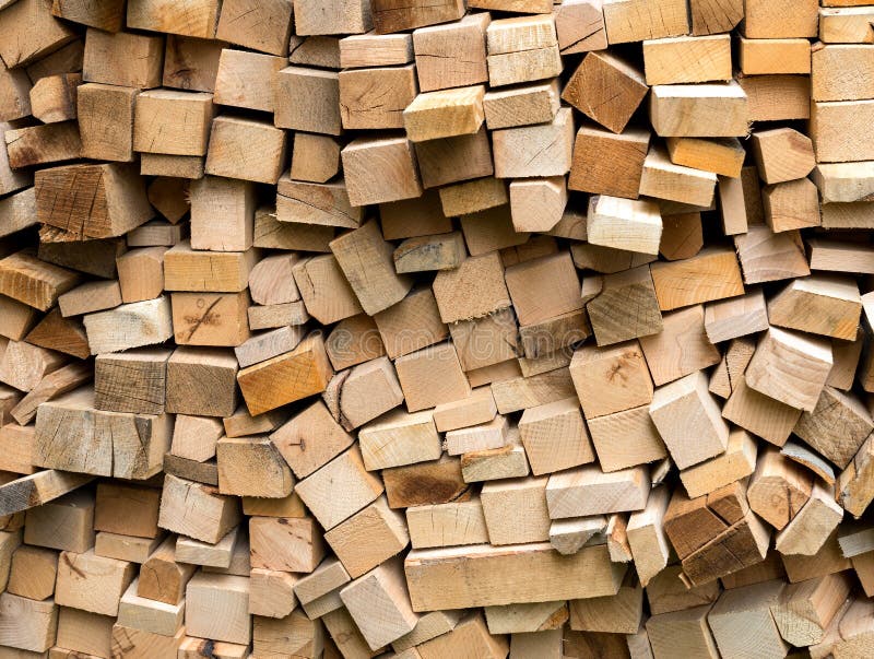 Pile of fresh cut wood logs