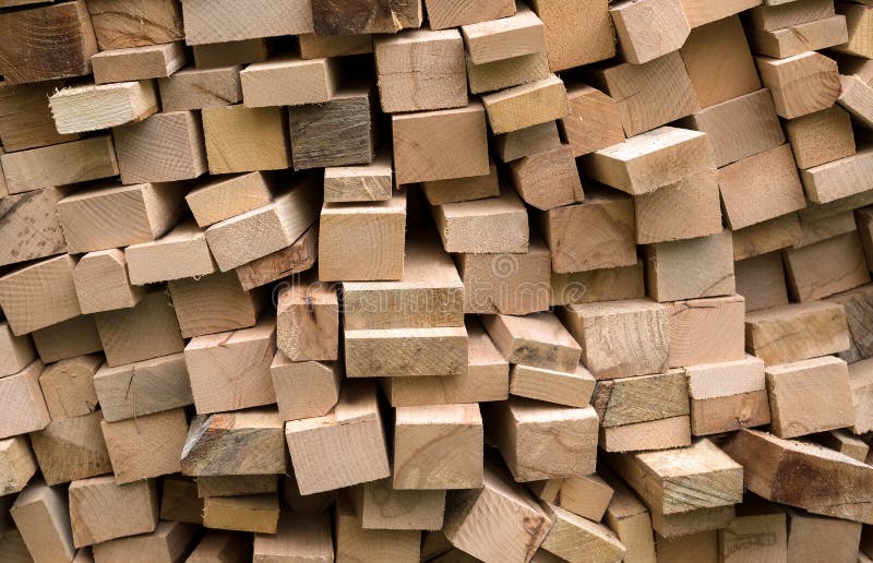 Pile of Fresh Cut Wood Logs Stock Photo Image of outdoors, forest