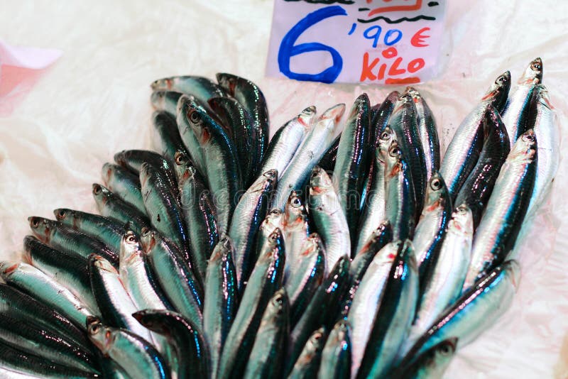 A pile of fresh fish stock photo. Image of storefront 129978446