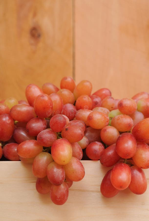A pile fresh grapes stock image. Image of dessert, food 28092073