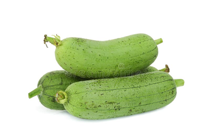 Pile of fresh green sponge gourd or luffa isolated on white background