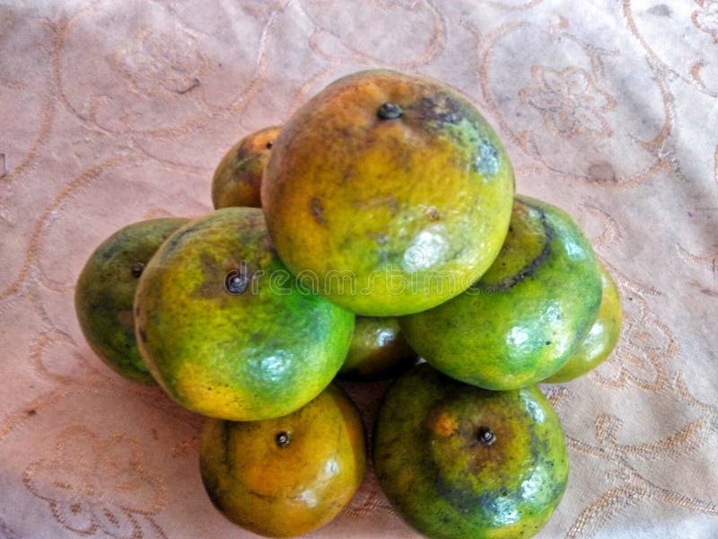 Pile of Fresh Green and Yellow Oranges Stock Image Image of pile, oranges 222953869