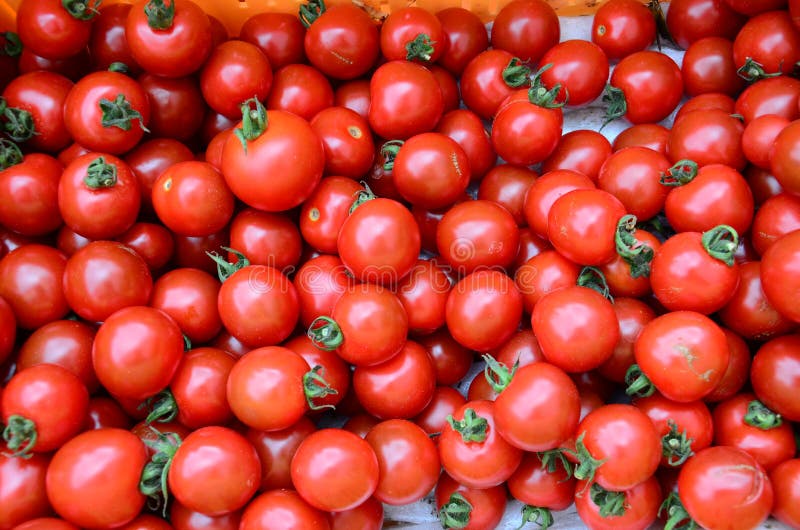 Pile of fresh tomatoes stock image. Image of nature, color 35588771