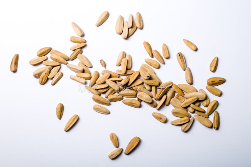 Melon seeds stock photo. Image of brown, heap, cultivated 107493276