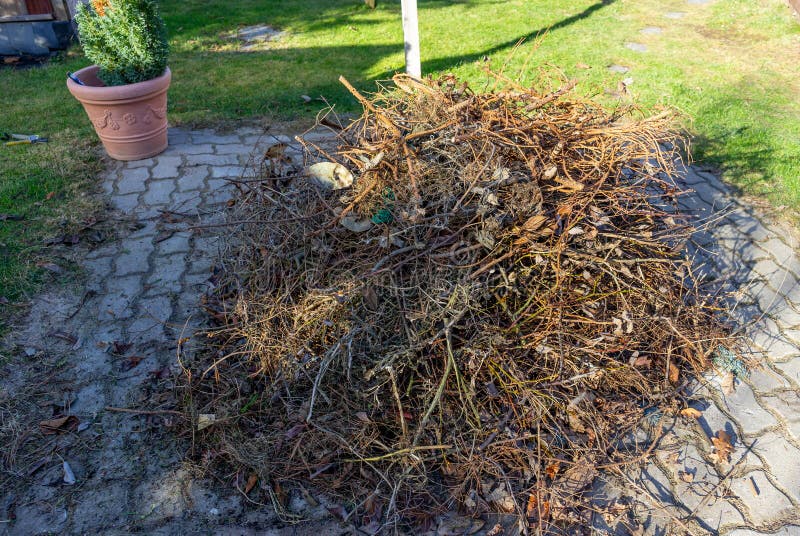 Pile Of Garden Waste To Burn In The Garden Stock Photo Image Of Pile Of Garden Waste To Burn In The Garden Stock Photo Image Of
