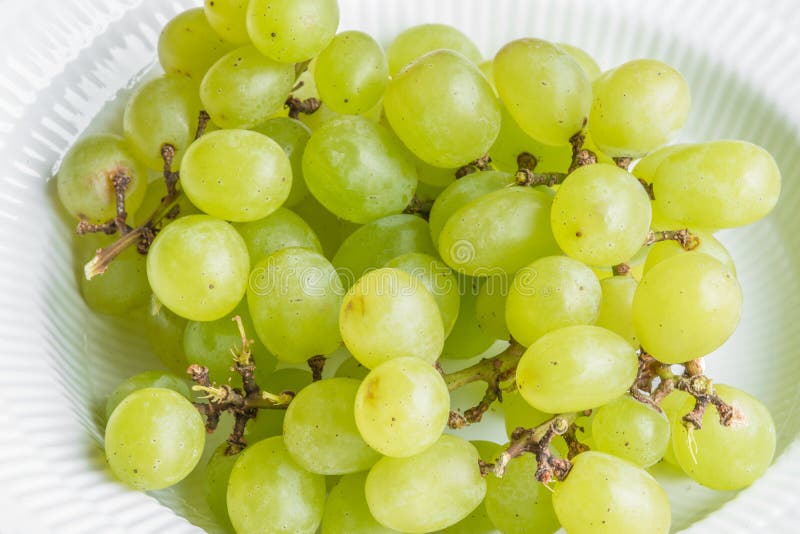 Pile of grapes in a bowl stock photo. Image of harvest 70871790