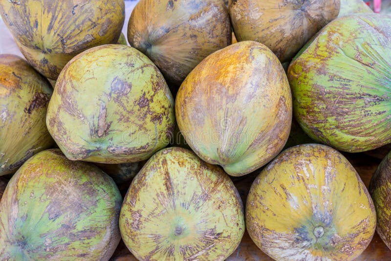 A Pile of Green Coconuts for Sale Stock Image Image of fruit