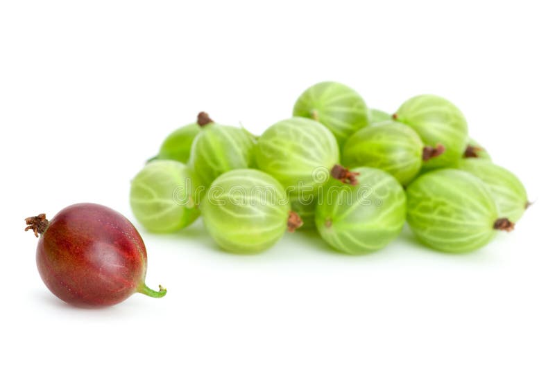 Pile of green gooseberries and one red alone