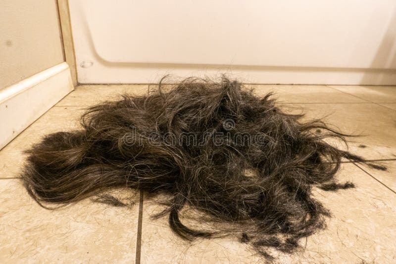 pix Cut Hair On Floor dreamstime com