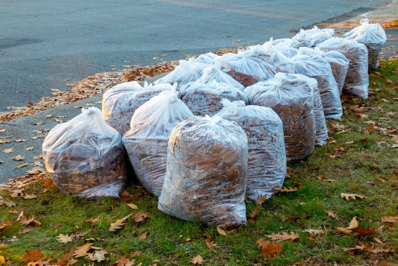 Free Fall Leaf Collection Bags Available for Piscataway Households