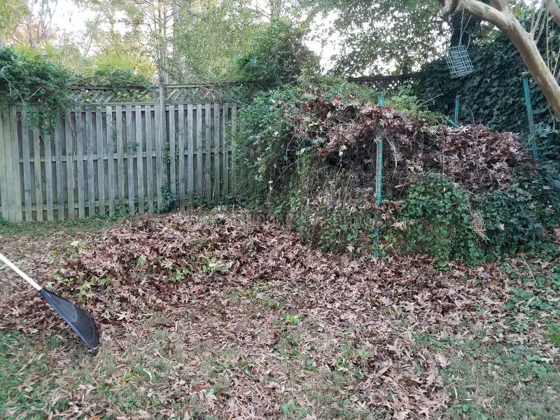 Pile of Leaves and Compost Pile in Yard Stock Photo Image of lawn