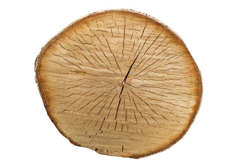 A pile of logs prepared and stored in bulk. The cut texture is the cracked wood.