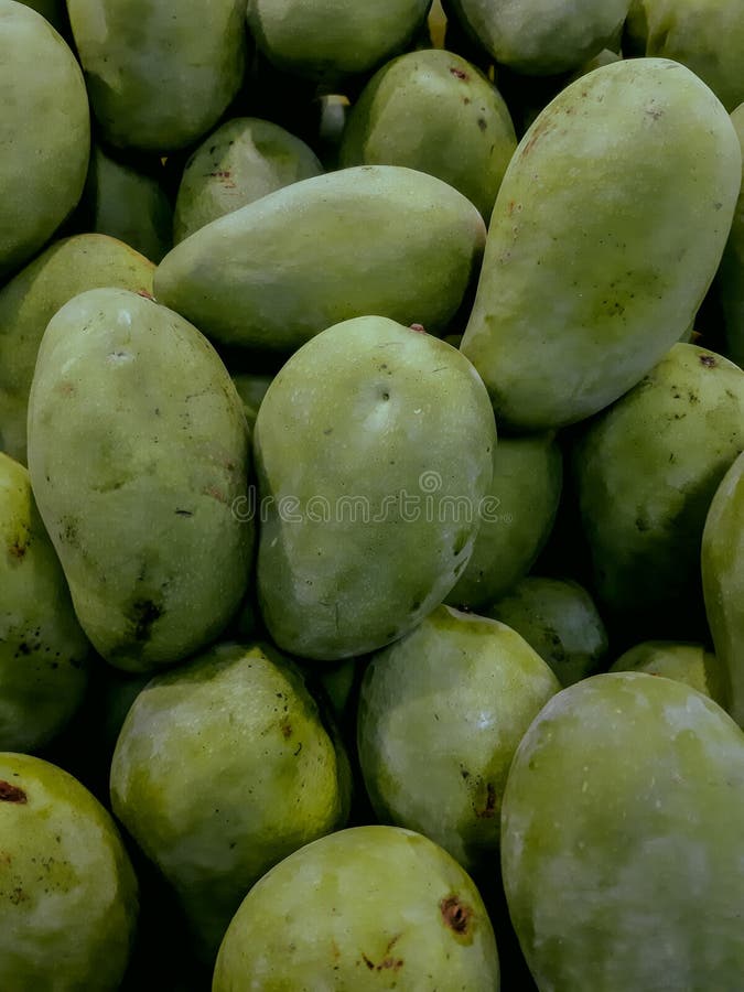 A pile of mango stock image. Image of greenmango, mango 294503425