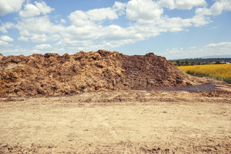 Pile of manure in the countryside with blue cloudy sky. Heap of dung in field on the farm yard with village in background