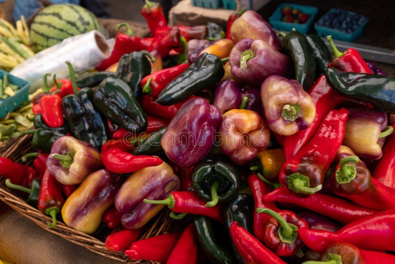 A pile of mixed coloured capsicums at a local farmers market in Canada